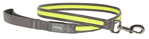 Kerbl Pet Light und Reflex Leuchtleine 25mm x 120cm - Gelb, wählbare Blinkstufen und Dauerlicht, spritzwassergeschützt mit USB-Akku