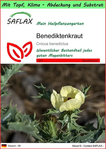 SAFLAX Blumensamen SAFLAX - Garden to go - Benediktenkraut