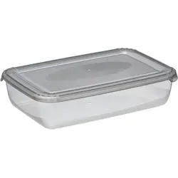 plast team Gefrierdose Polar 0,45 Liter grau rechteckig - Grau