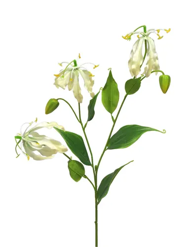 artplants Kunstblumen Zweig Ruhmeskrone XIANGTING, Creme, 85 cm