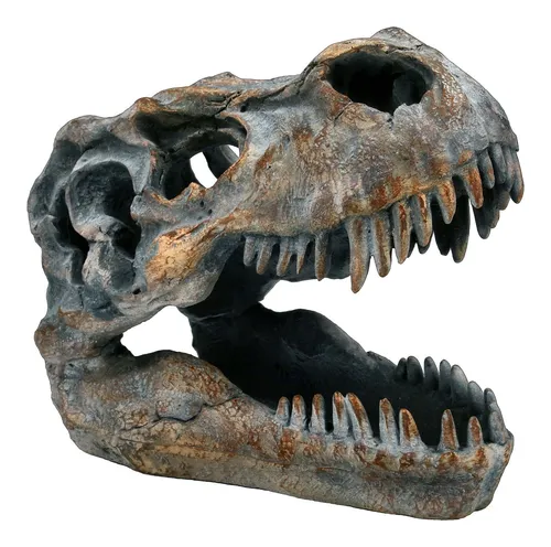 Tyrannosaurus Rex Totenkopf - Deko Figur für Sammler - Kleine Deko Figur mit realistischem T-Rex Schädel, ideal für Dinosaurier-Fans und Sammler, Höhe: 15 cm, Breite: 11 cm, Tiefe: 19 cm.