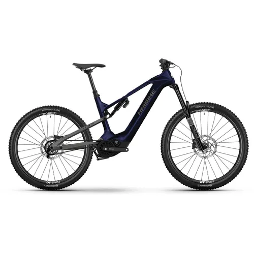 Haibike Allmtn CF 10