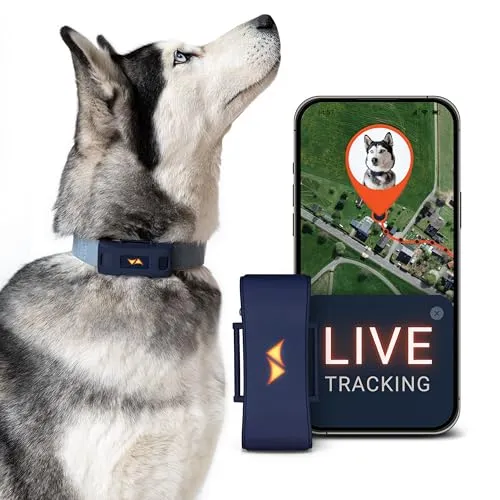 PAJ GPS Tracker für Hunde