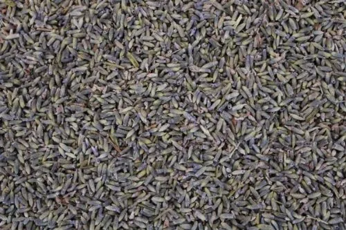 1000Kräuter Lavendelblüten Lavendel blau getrocknet Lavendeltee (50g)