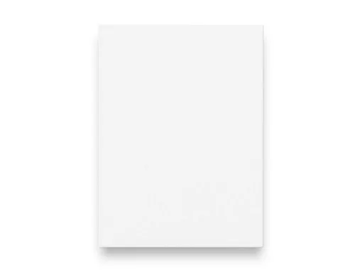 PROKIRA Möbelblende Möbel-Front für vollintegrierten Geschirrspüler Kühlschrank 60cm weiß