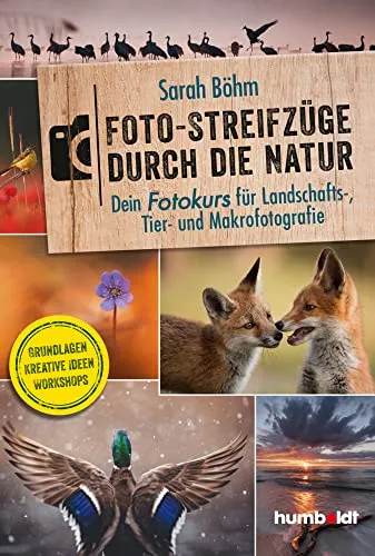 Foto-Streifzüge durch die Natur: Fotokurs für Landschafts-, Tier- und Makrofotografie - Luft Malerei - Entdecke kreative Ideen und lerne die Grundlagen der Fotografie in der Natur mit praktischen Workshops.