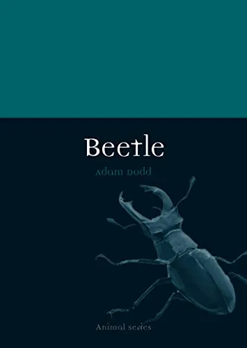 Beetle (Animal)