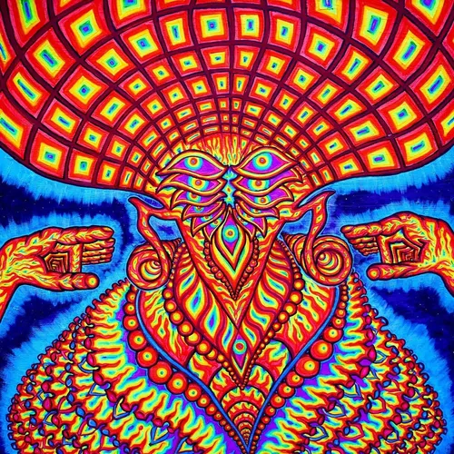 Dream Syndicate Universe Inside (Vinyl) 12