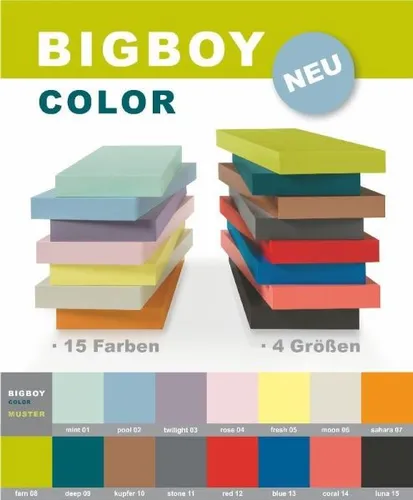Dolle Regalboden Big Boy 57 x 25 cm, grau - Zubehör für Möbel, stabil und belastbar bis 50 kg – ideal für die individuelle Raumgestaltung.