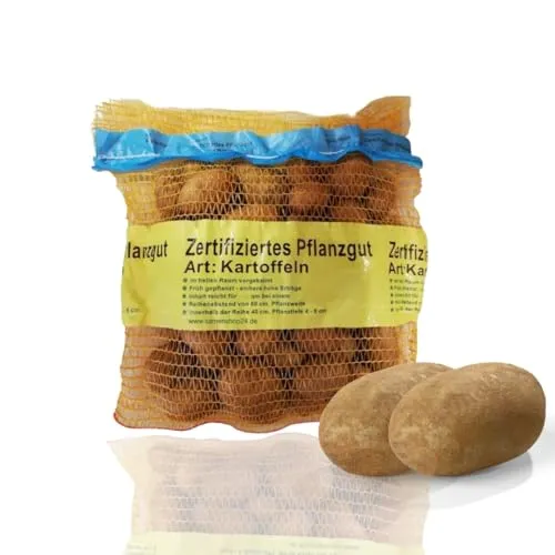 Frisches & Tiefgefrorenes Gemüse von Samenshop 24