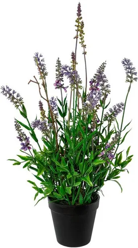 Kunstblume Lavendel im Topf - Creativ green, Höhe 48 cm - Kunstblume für kreative Dekoration, pflegeleicht und immer blühend, ideal für Küchen und Wohnräume.
