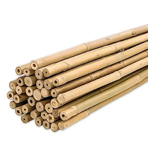 PLANTAWA Bambusstäbe 150 cm Pack mit 25 Stück Ø 12-14 mm | Bambusstab zum Aufstellen von Tomaten und Pflanzen | Pflanzpflöcke in Verschiedenen Größen - Widerstandsfähige Bambusrohre