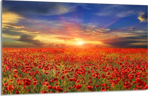 Glasschutzplatte für den Herd 80x52 Maki