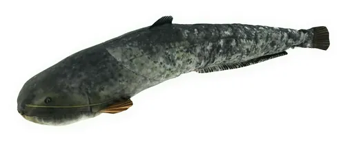 Gaby Kuscheltier Fisch Kissen - Plüschfisch Wels 62cm - Plüsch-Spielzeug mit realistischer Fisch-Design, handgenäht aus hochwertigen, waschbaren Materialien - Ideal als Geschenk für Naturliebhaber und Kinder!