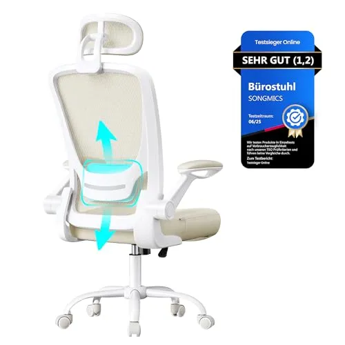 SONGMICS Ergonomischer Bürostuhl mit Mesh und Lendenstütze