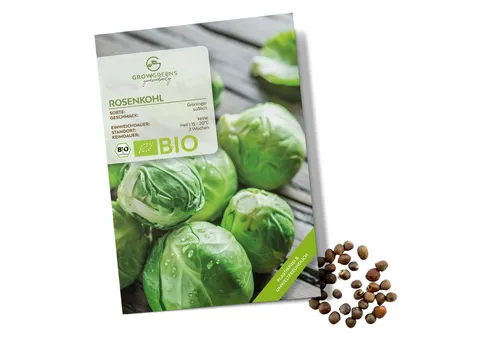 Growgreens Gemüsesamen BIO Rosenkohl Samen (Groninger) - Rosenkohl Saatgut (30 Korn), Gemüse