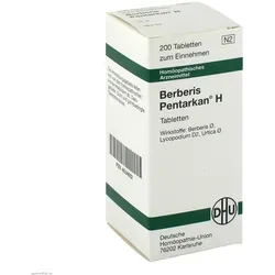 Berberis Pentarkan H Tabletten 200 St