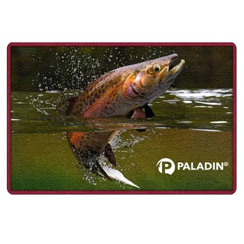 Paladin Türmatte 60x40cm Forelle Fußmatte Fußabtreter Haustür