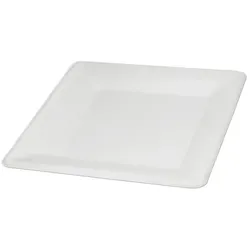 wisefood Einwegteller Bagasse Teller von wisefood