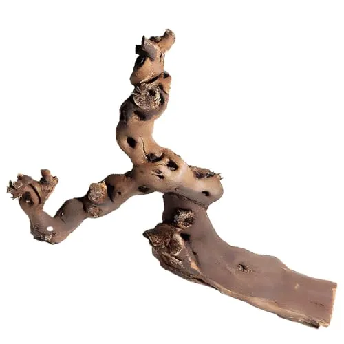 M&S Reptilien Rebwurzel XL, Länge: ca. 70-80cm