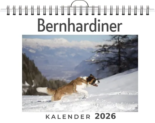 Marie Maier | Bernhardiner | Kalender | Deutsch | 2026 | FlipFlop