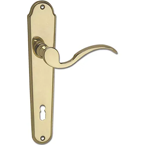 Marchesi Türbeschlag Löffelform | Türgriff für Innentür auf Schild BB 90 | Messing poliert | ÖNORM