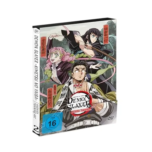 Demon Slayer: Kimetsu no Yaiba Hashira Training Arc