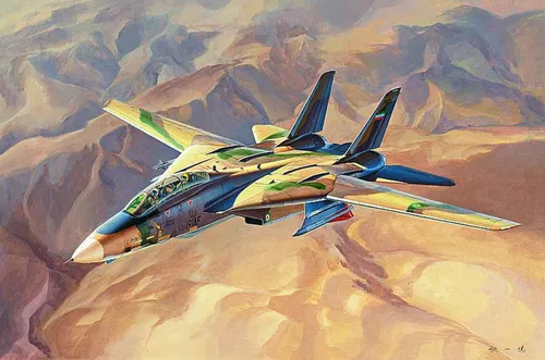 Persian Cat F-14A TomCat-IRIAF / 1:48 - Hobby Boss - 81771