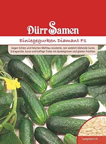 Dürr-Samen - Einlegegurken Diamant F1 Saatgut