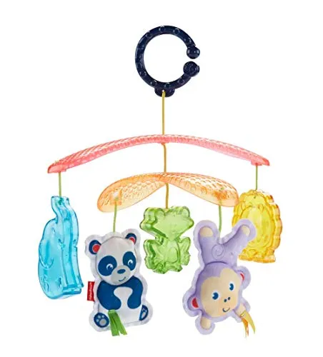 Mattel Fisher-Price DYW54 Buggy-Mobile, mehrfarbig