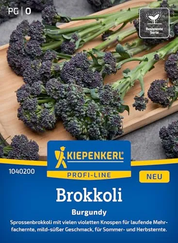 Kiepenkerl Profi-Line Brokkolisamen Burgundy 1040200 - Brokkolisprossen - violette Knospen - Mehrfachernte - Samen Gemüse, Saatgut, Gemüsepflanzen