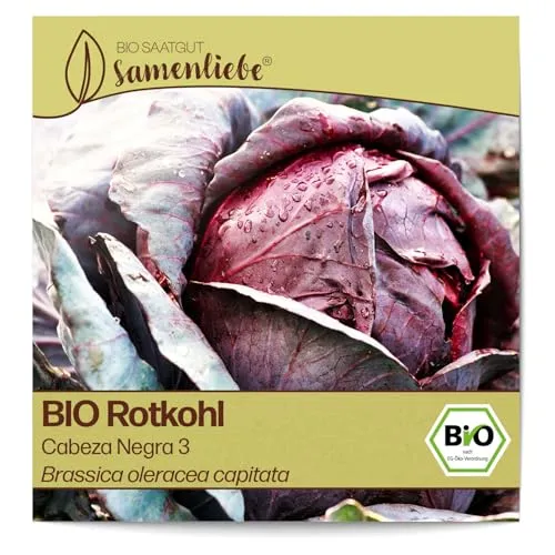 Samenliebe BIO Rotkohl Samen Cabeza Negra 3 aromatischer Blaukraut runder Kohl rot violett 200 Samen samenfestes Gemüse Saatgut für Gewächshaus Freiland und Balkon BIO Gemüsesamen winterhart