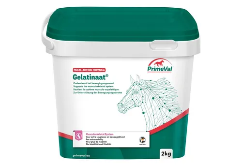 PrimeVal Gelatinaat für Pferde - Muskelkondition und Knochenstärkung - Ergänzungsfutter für Pferde, 2 kg - Unterstützt Bewegungsapparat, Nervensystem und Immunsystem, ideal für Turnierpferde und Profi-Reitsport.