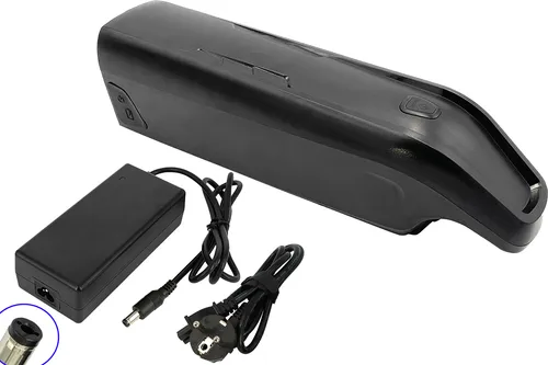 E-Bike Pedelecs AEG Unterrohrakku 36V 14.5Ah für Prophete ZZ1311004 mit Ladegerät