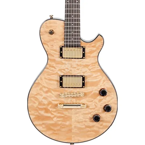 Patriot 20th Anniversary Electric Guitar-ELECTRIC GUITAR