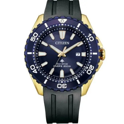Citizen Eco-Drive BN0196-01L