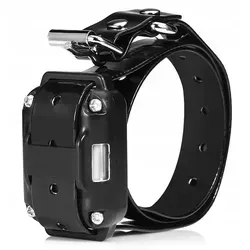 Zusätzlicher Sender für Elektrohalsband S-88 – Trainingshilfe für Hunde