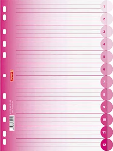 Brunnen 106659526 Ringbuchregister Colour Code (für Ordner und Ringbücher, aus PP, für A4, 12 Tabs) pink