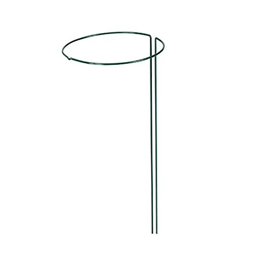 TESTRUT GARDEN Pflanzenstützen, Staudenring, grün, 100 cm