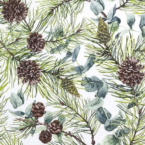 Servietten Eucalyptus and Pine Eukalyptus Zapfen Winter Natur Pflanze 33x33cm 20