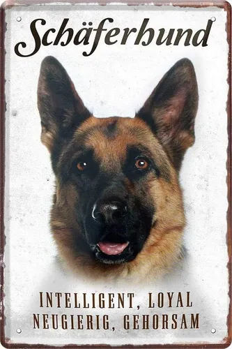 WOGEKA ART Metallbild Hunde-Rassen Steckbrief 20 x 30 cm Blechschild Haustier Hund Deko, Schäferhund