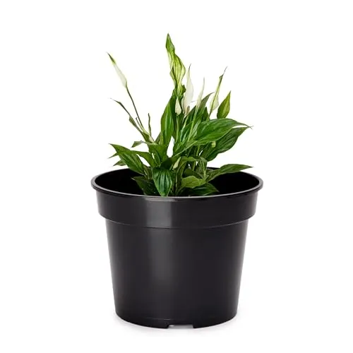 Garronda Blumentopf Kunststoff Pflanztopf rund Kräutertopf Anzuchttöpfe Blumentopf Schwarz für Innen und Aussen 17cm GD-0025 (Schwarz, ⌀ 17 cm H 13 cm)