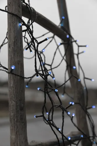 STAR TRADING LED-Lichterkette 498-49 in blau von Star Trading