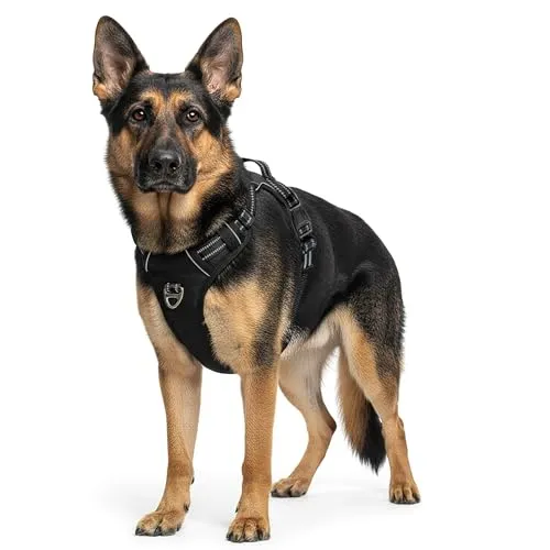 Reichstadt Pets Hundegeschirr – Verstellbares No-Pull Geschirr mit Griff & Reflektoren | Atmungsaktiv, Gepolstert & Strapazierfähig | Sicherheitsgeschirr für Große Hunde 25RSP083 Black L