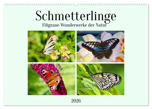 CALVENDO Wandkalender Schmetterlinge - Filigrane Wunderwerke der Natur (Wandkalender 2026 DI