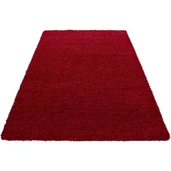 Ayyildiz Dream Shaggy Hochflor-Teppich von Novel