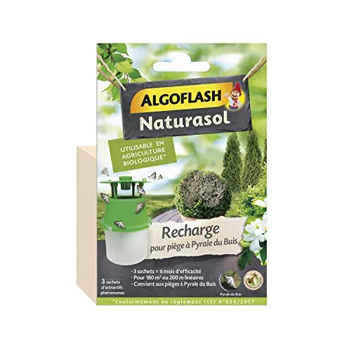 ALGOFLASH NATURASOL BIOPIBUIR Nachfüllpack für Buchsbaumzünsler, nicht anwendbar