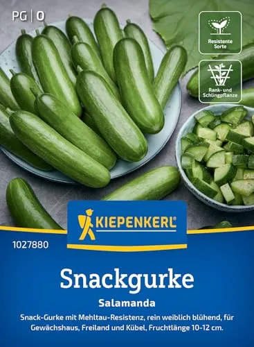 Kiepenkerl Salatgurke Salamanda F1 von Nebelung/Kiepenkerl
