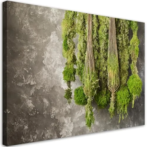 Feeby Leinwand Bilder - Moospflanze Natur - Canvas 60x40 cm - Deko Wohnzimmer - Wandbilder Schlafzimmer - Deko Aesthetic - Wand Deko - Leinwand Groß - Deko Zimmer - Leinwandbilder XXL