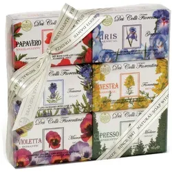 Nesti Dante Colli Fiorentini Gift Set